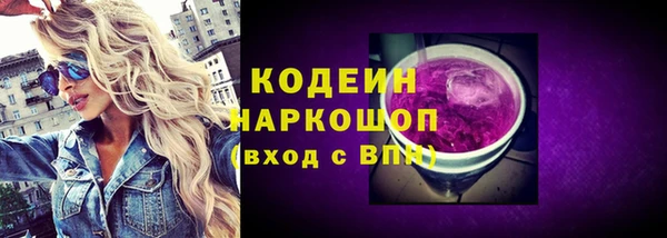 прущий лед Алзамай
