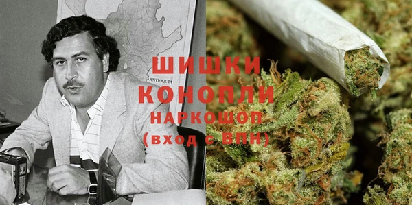 apvp Алексин