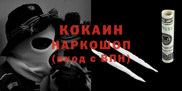 apvp Алексин
