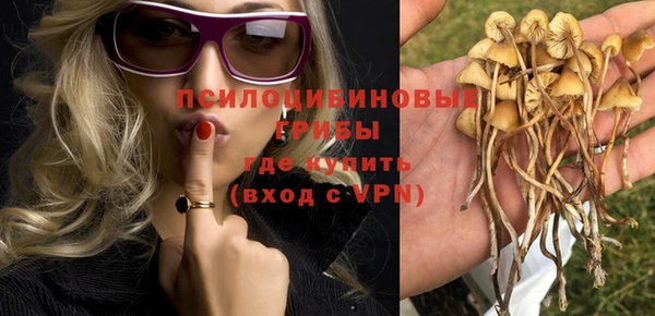 apvp Алексин