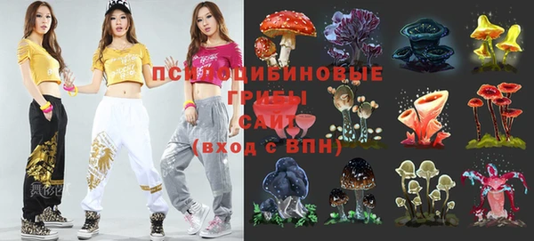 apvp Алексин