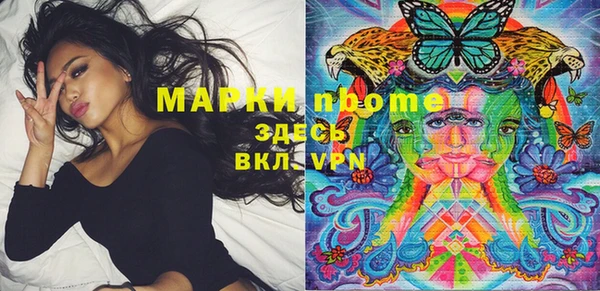 прущий лед Алзамай