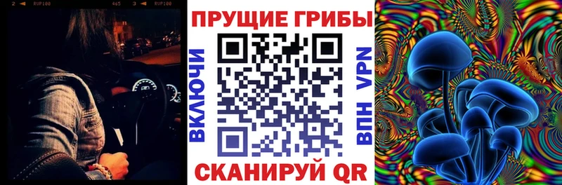 Псилоцибиновые грибы прущие грибы Пласт